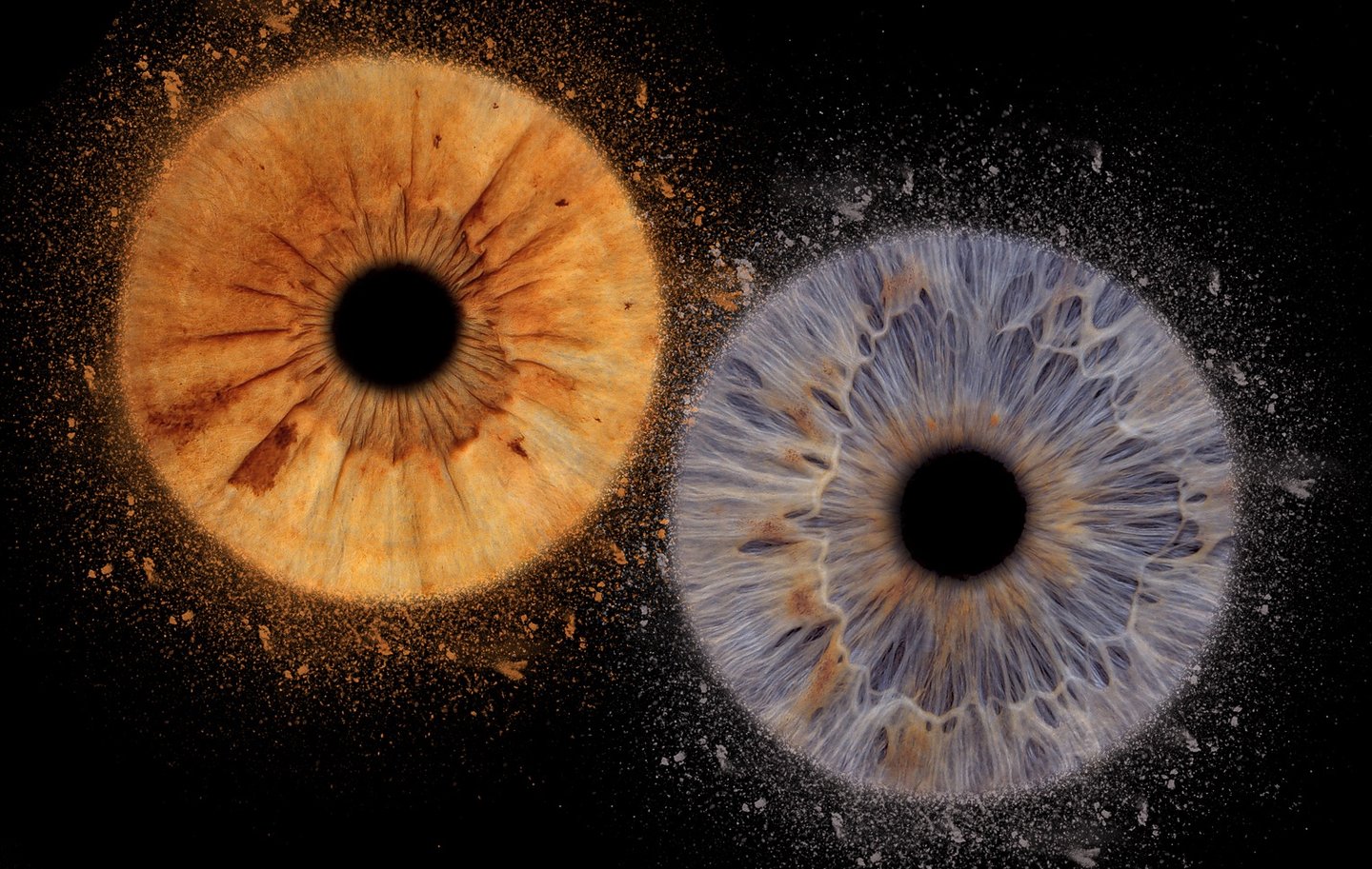 cadeau couple bordeaux iris 