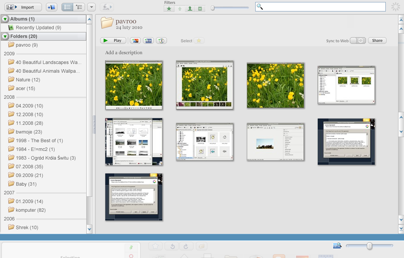 Picasa user interface