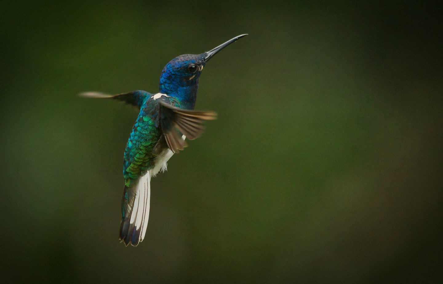 Photography Manu Reserved Natural Paradise 9 D/8N