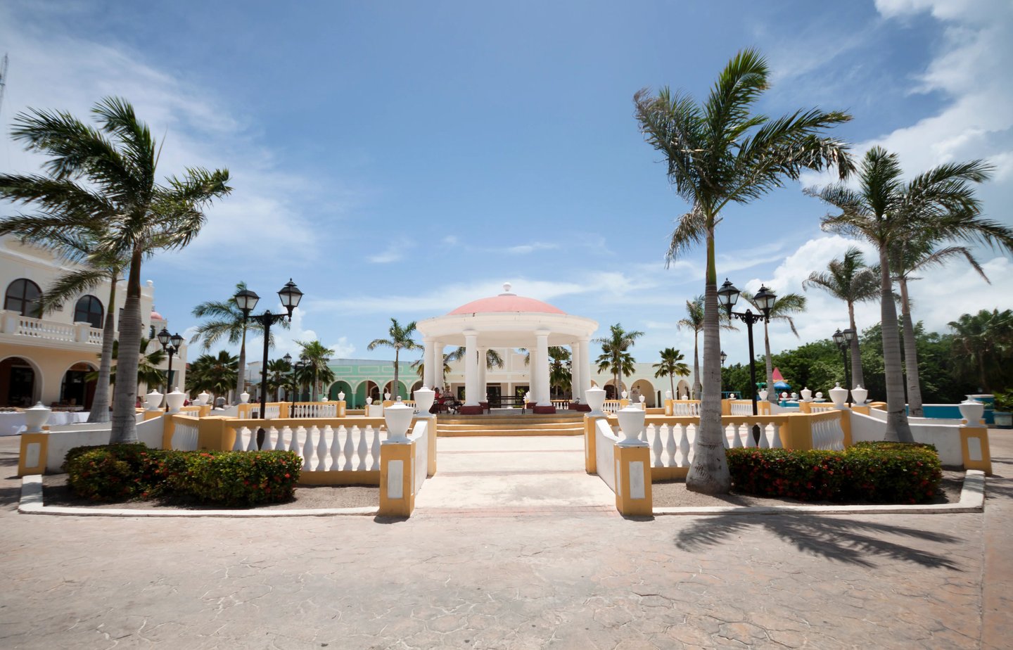 house with palm trees