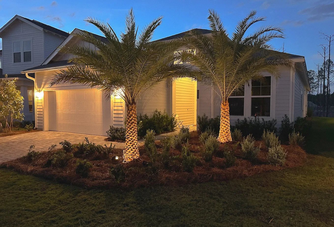 house with palm trees