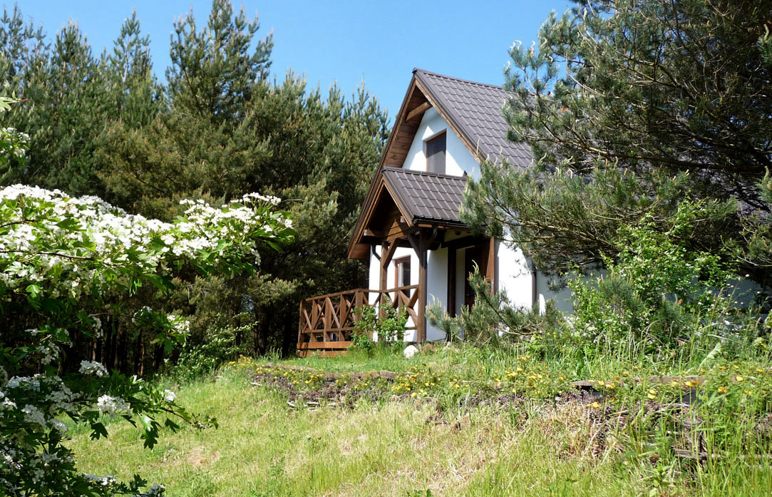 domek w sosnowym lesie