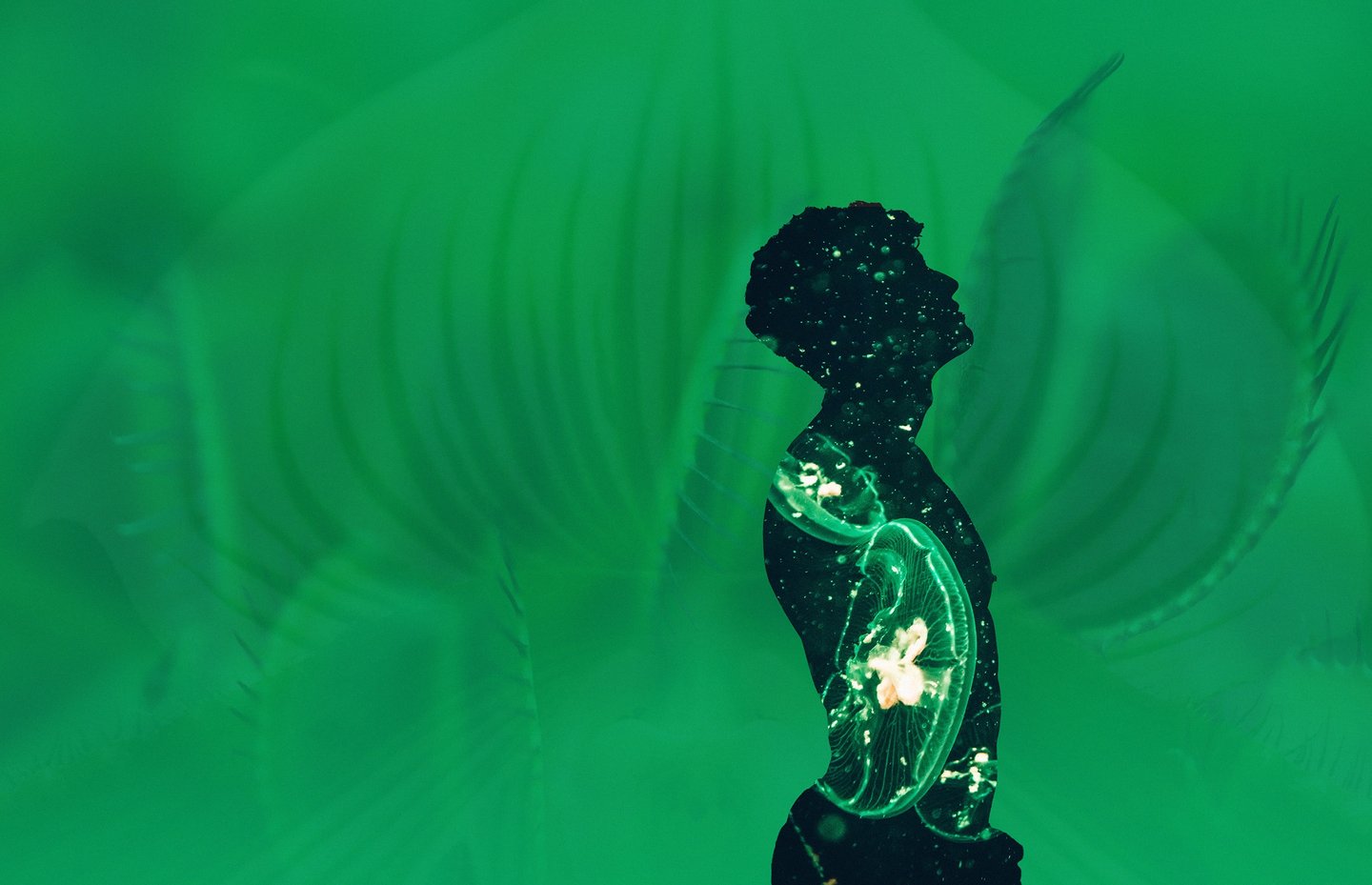 Double exposure silhouette of a man with glowing jellyfish on a vivid green background.