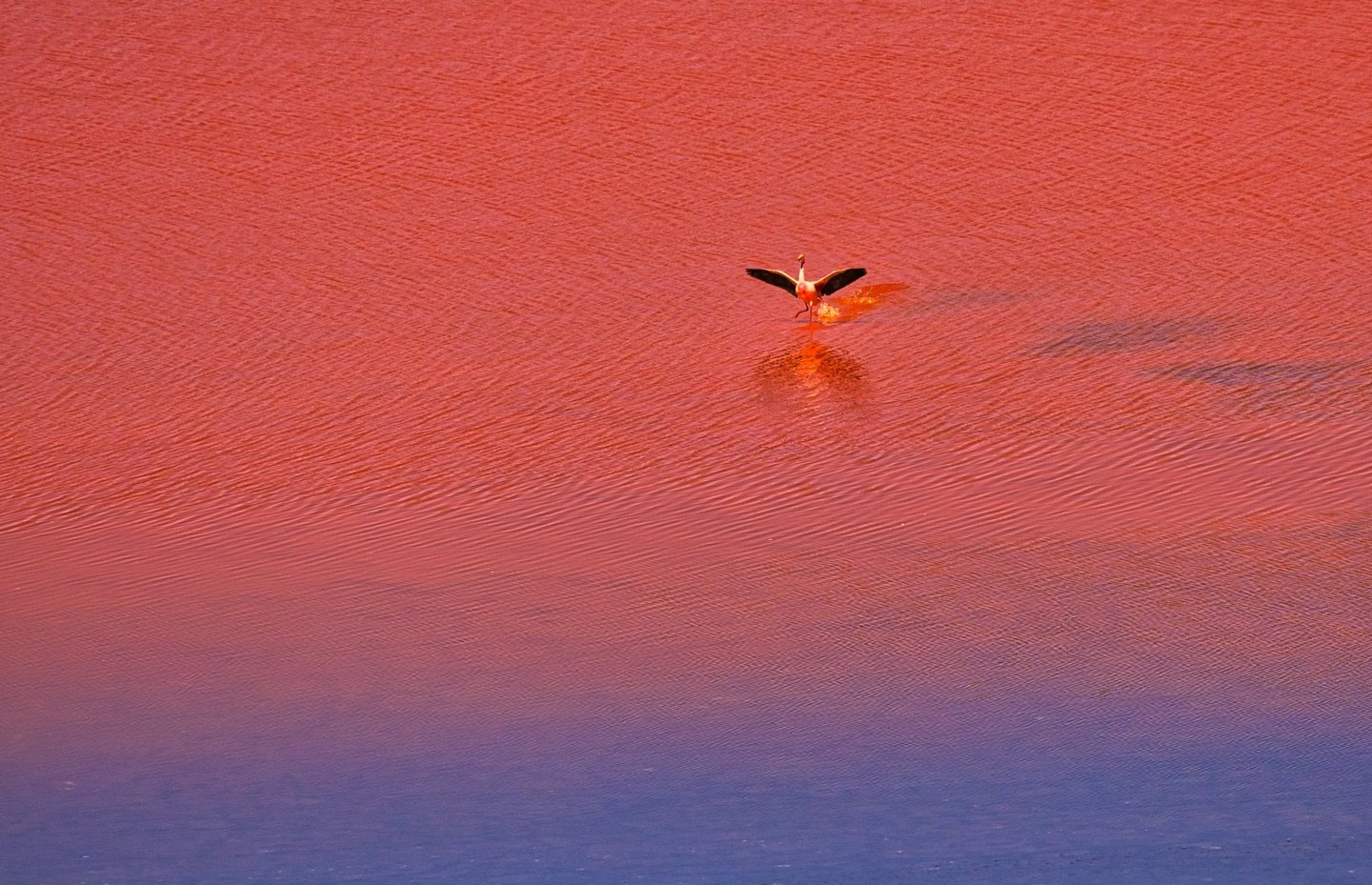 Classic Uyuni Salt Flat Tour Bolivia