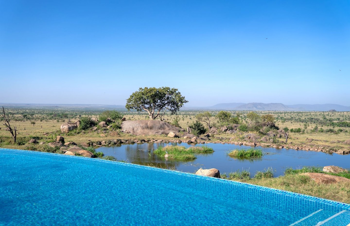 Four Seasons Serengeti Tanzania pool
