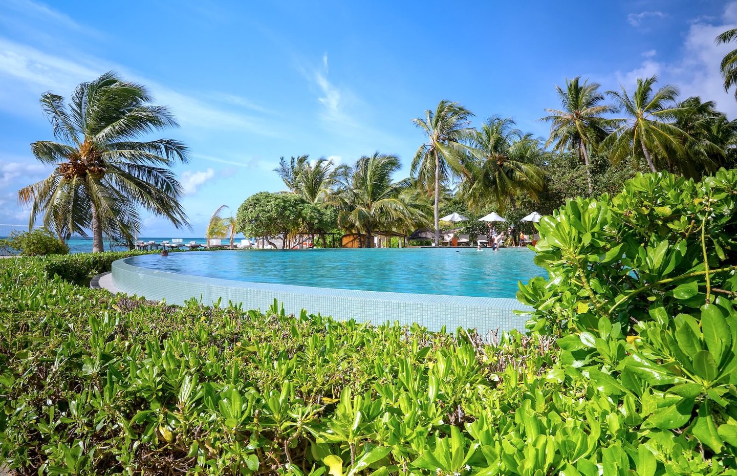 LUX South Ari Atoll Maldives pool