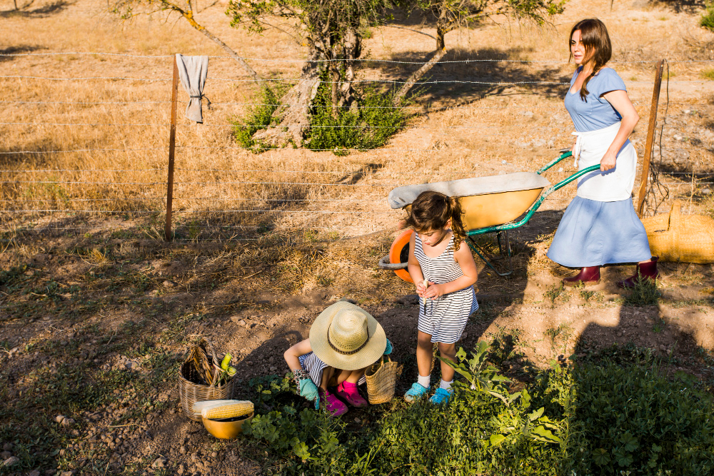 Atelier et le Jardin Punk de ReCréNature