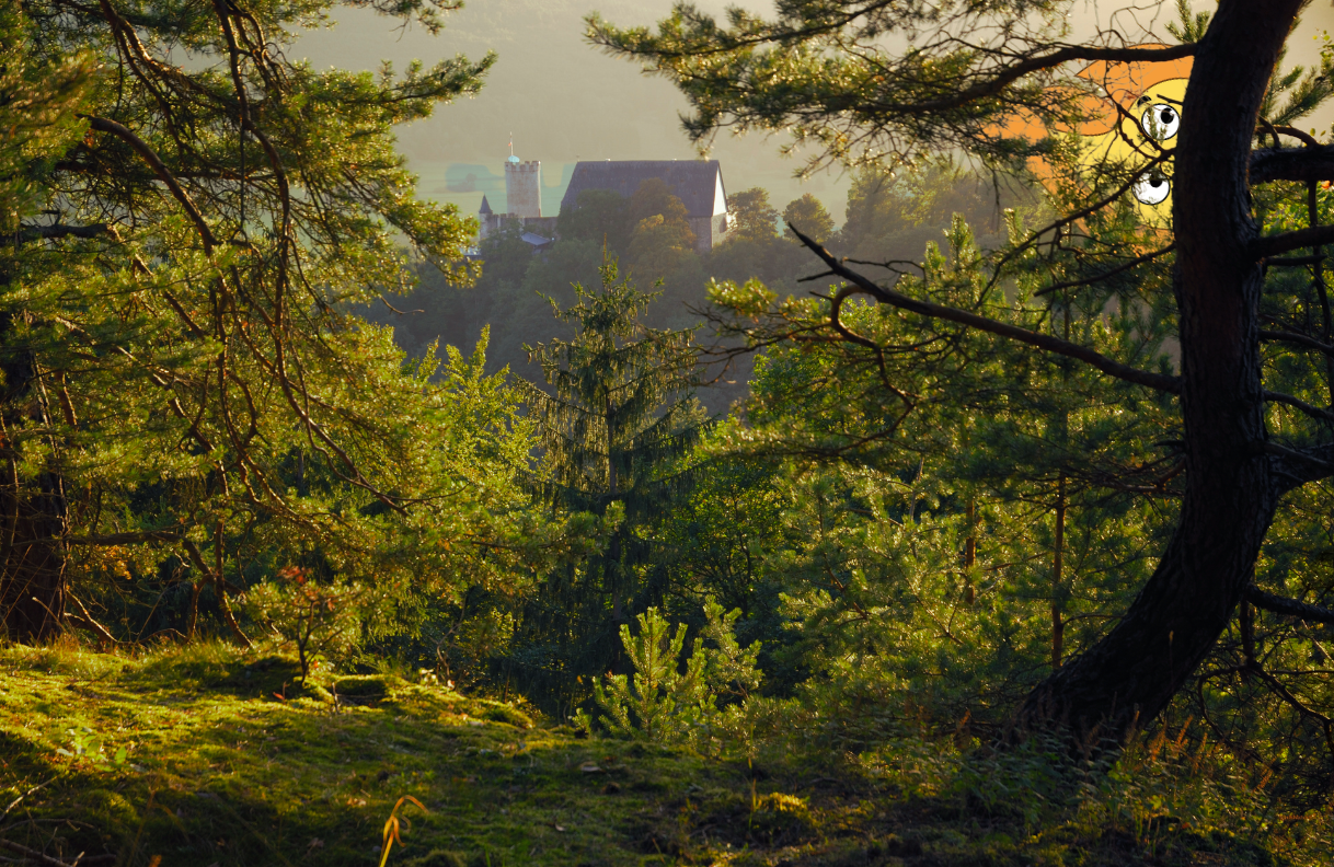 une flamme logo de MaxThomasBois qui tient un drapeau français a côté d'une cheminée