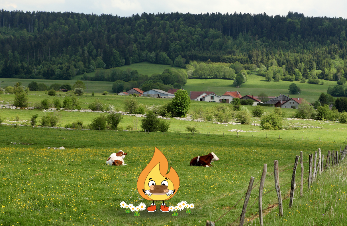 Maxima la petite flamme de MaxThomaBois est en Normandie pour livrer du bois de chauffage 