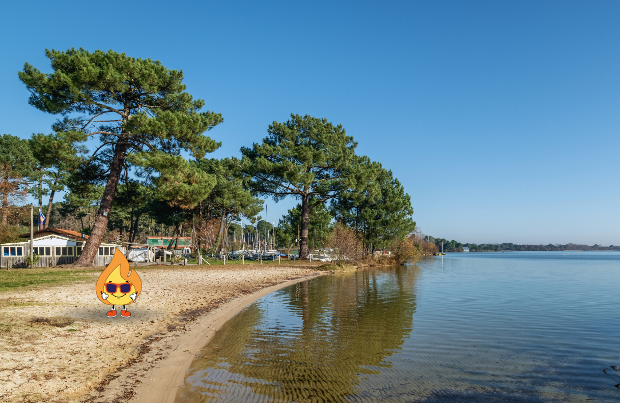 Maxima logo de MaxThomasBois et mascotte bronze en nouvelle aquitaine
