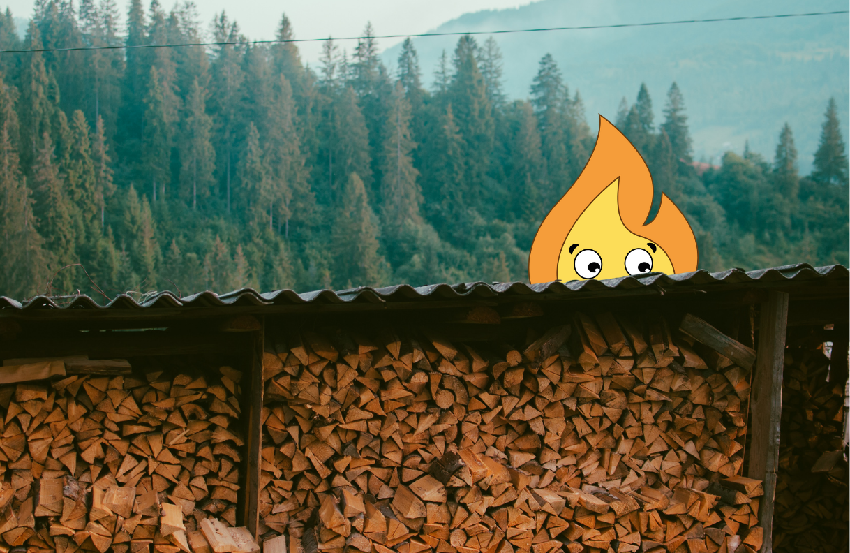 Maxima flamme de MaxThomasBois livre partout en France du Bois de chauffage et en Bourgogne