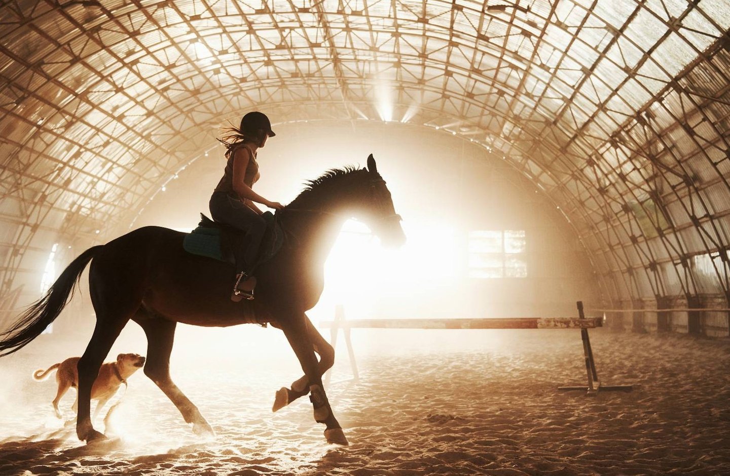 Cavalière avec cheval utilisant équipement Acolytes