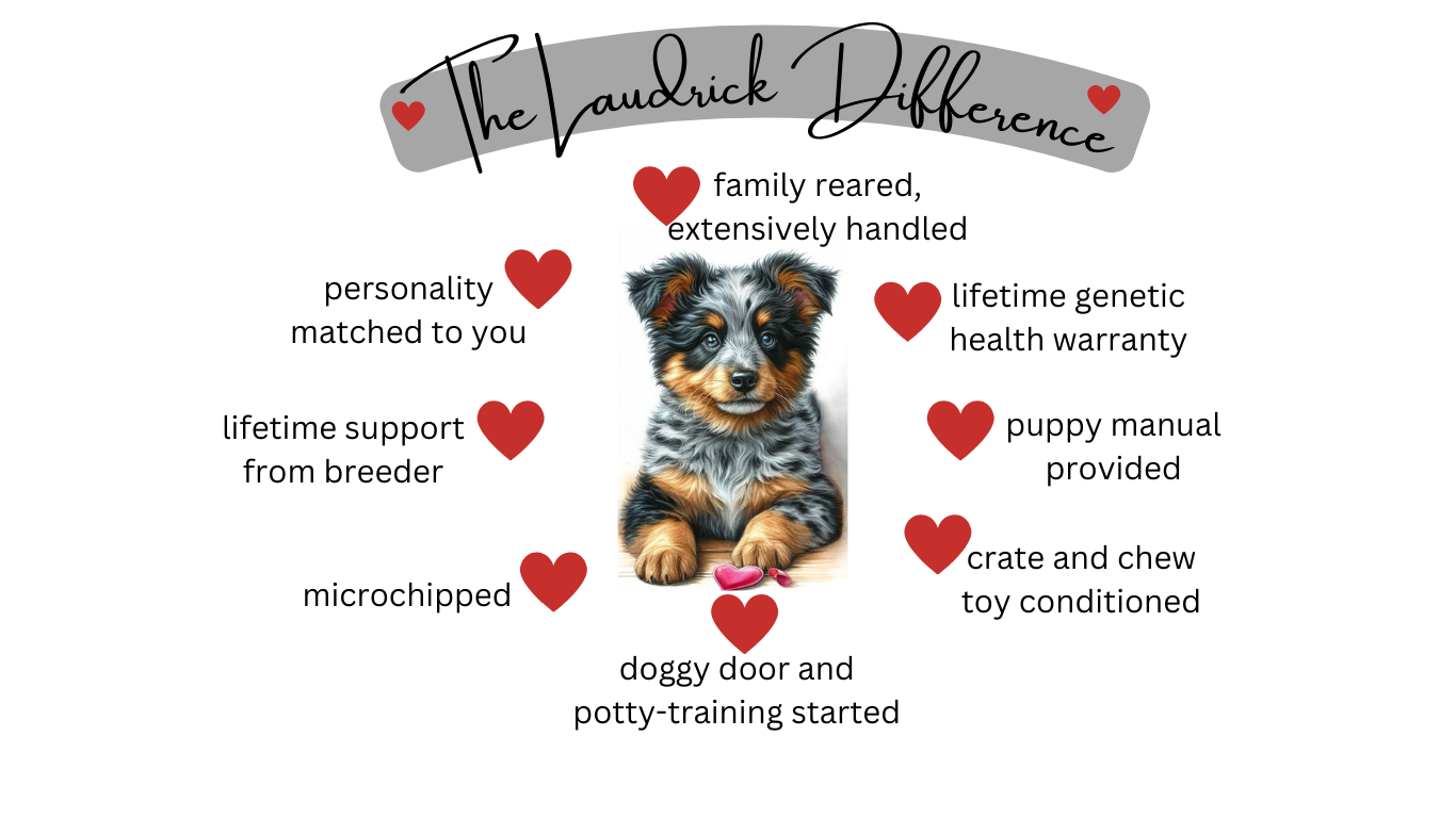 the Laudrick Aussie difference