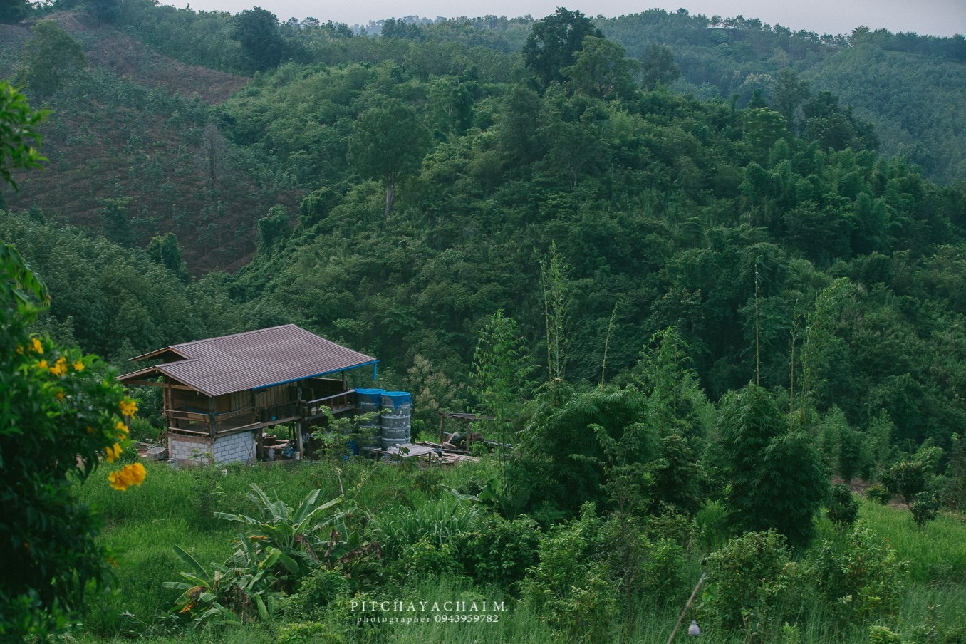 5 จุดถ่ายรูปสวยในจังหวัดน่าน ที่นักท่องเที่ยวไม่ควรพลาด