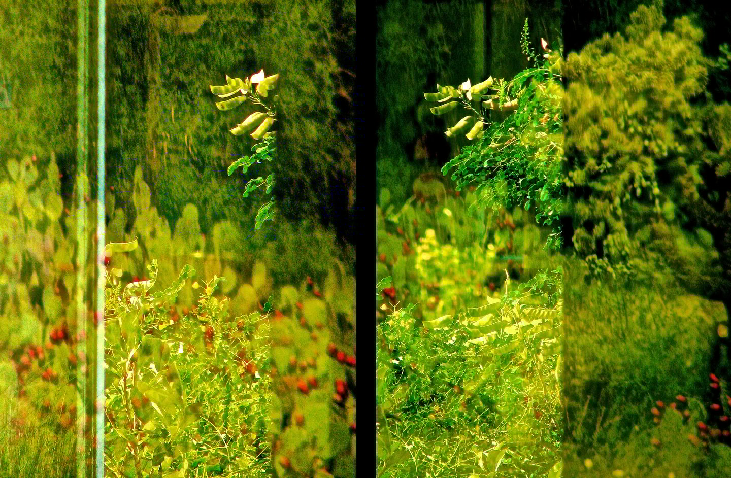 "Beach Boys" © 2006 Heinz Lechner