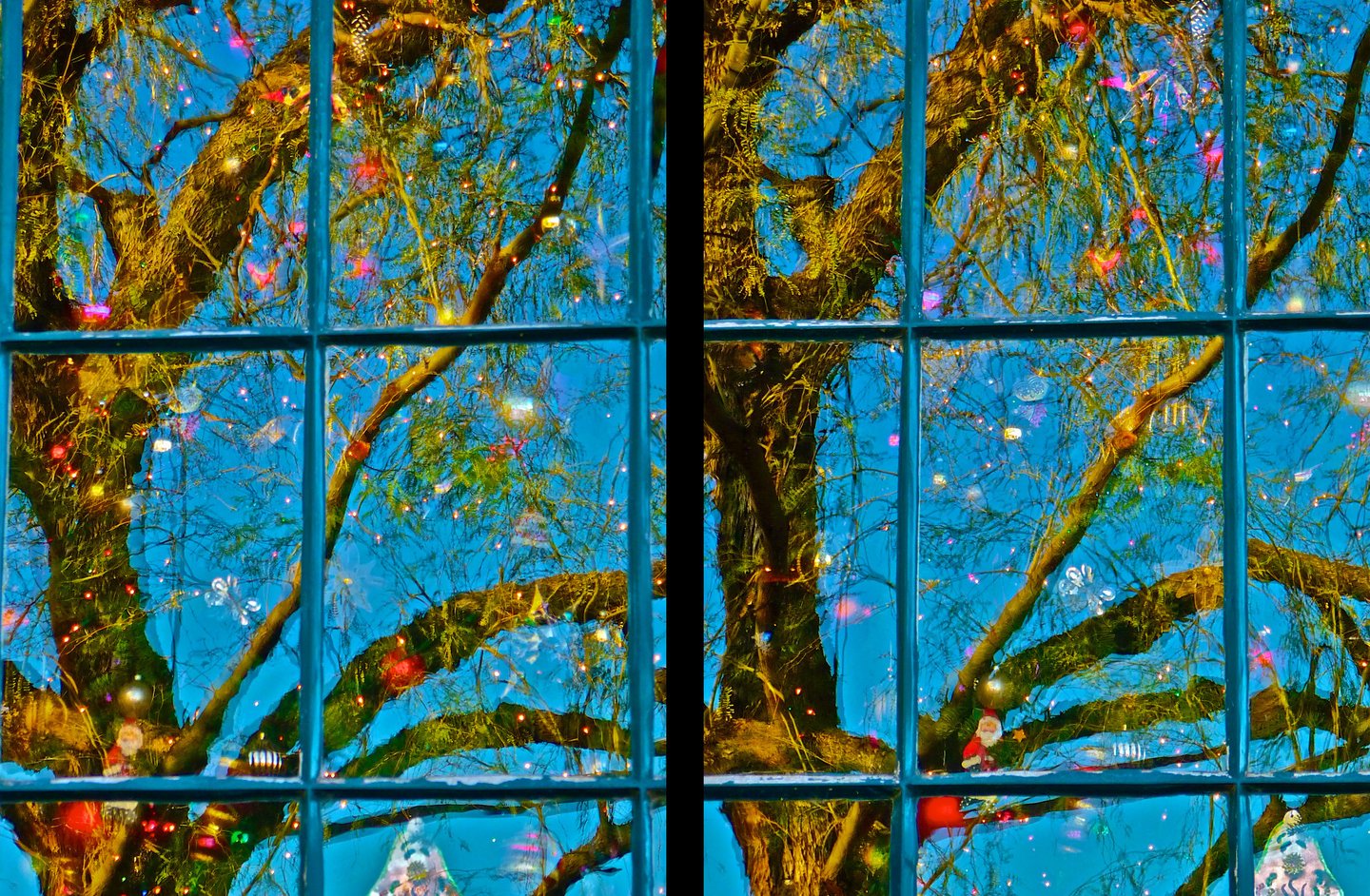 "Can" © 2010 Heinz Lechner