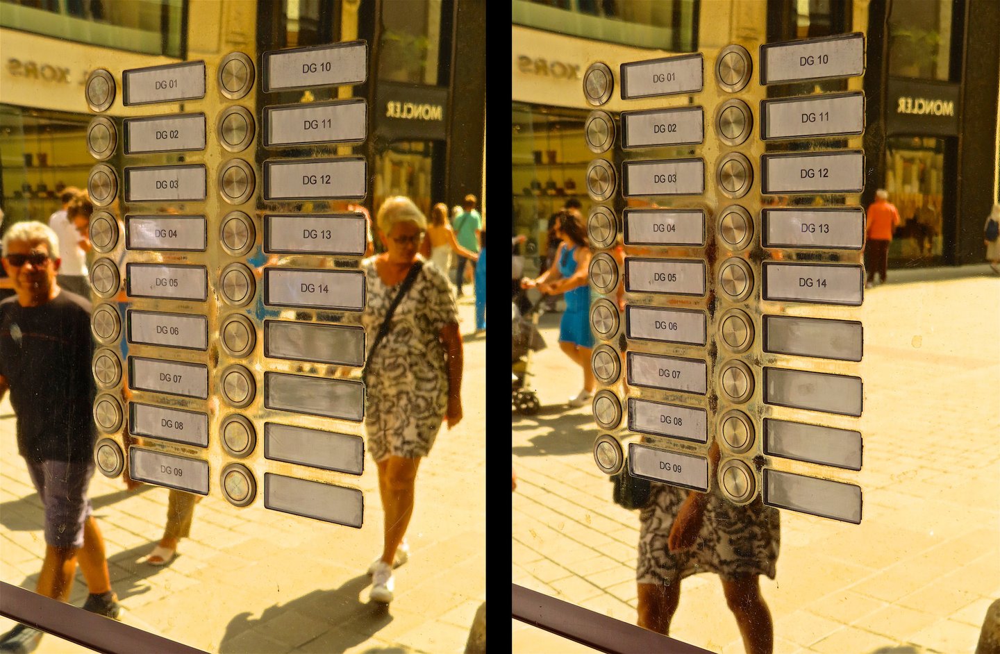 "Duke" © 2024 Heinz Lechner