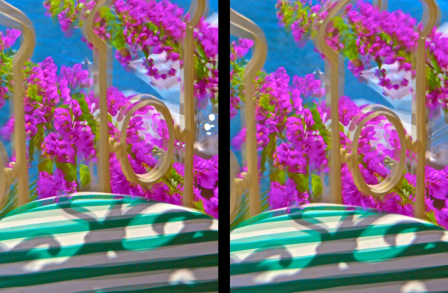 "Elfriede Jelinek" © 2020 Heinz Lechner