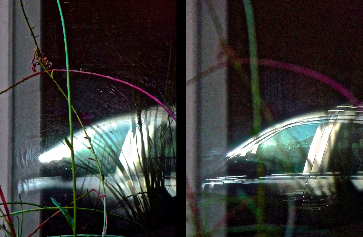 "Gipsy Love" © 2015 Heinz Lechner