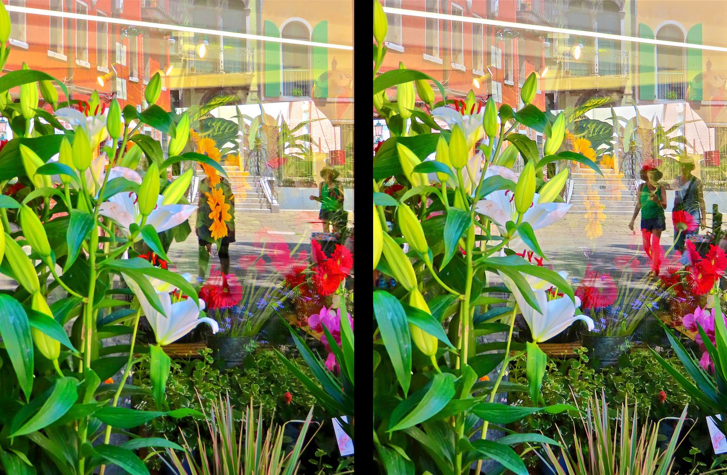 "Liliana" © 2023 Heinz Lechner