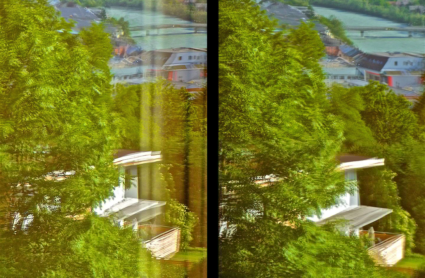 "Turtles" © 2012 Heinz Lechner