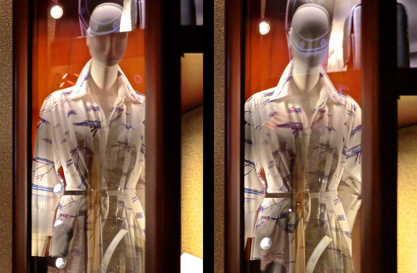 "Ufo" © 2024 Heinz Lechner