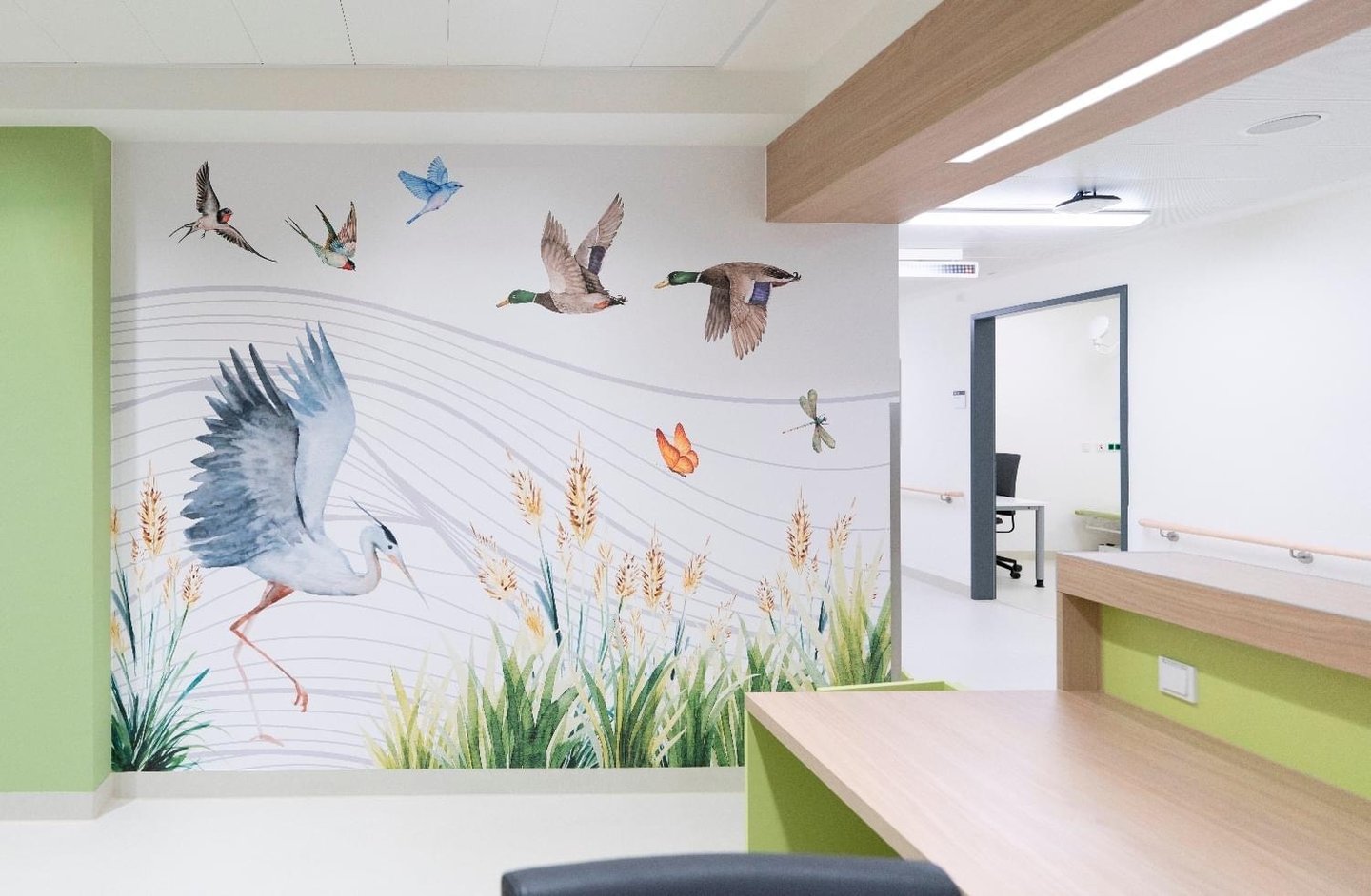 individualios sienos