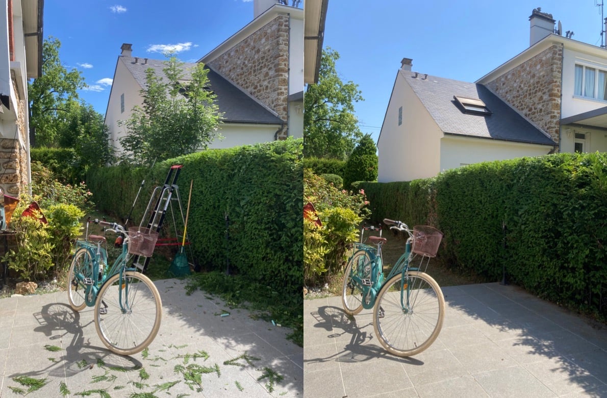 Taille de haies à Soisy-sur-Seine et aux alentours