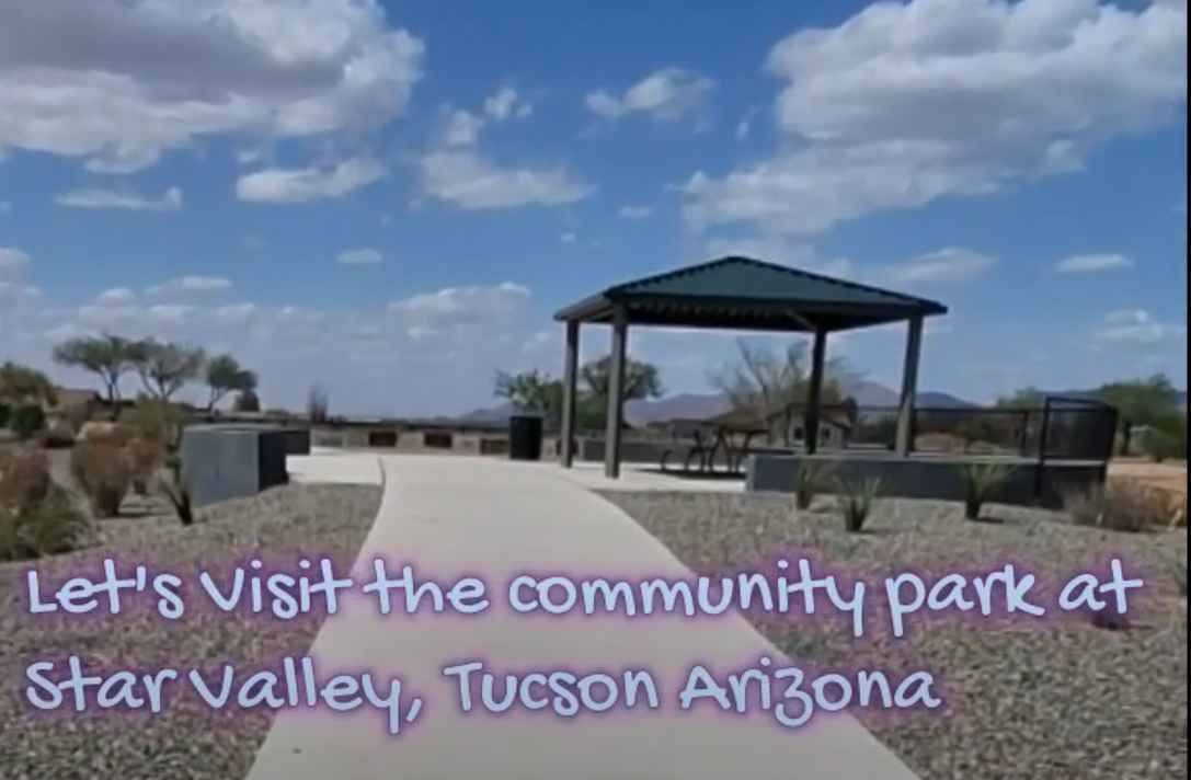 a walkway with a gazeboar and a gazeboar