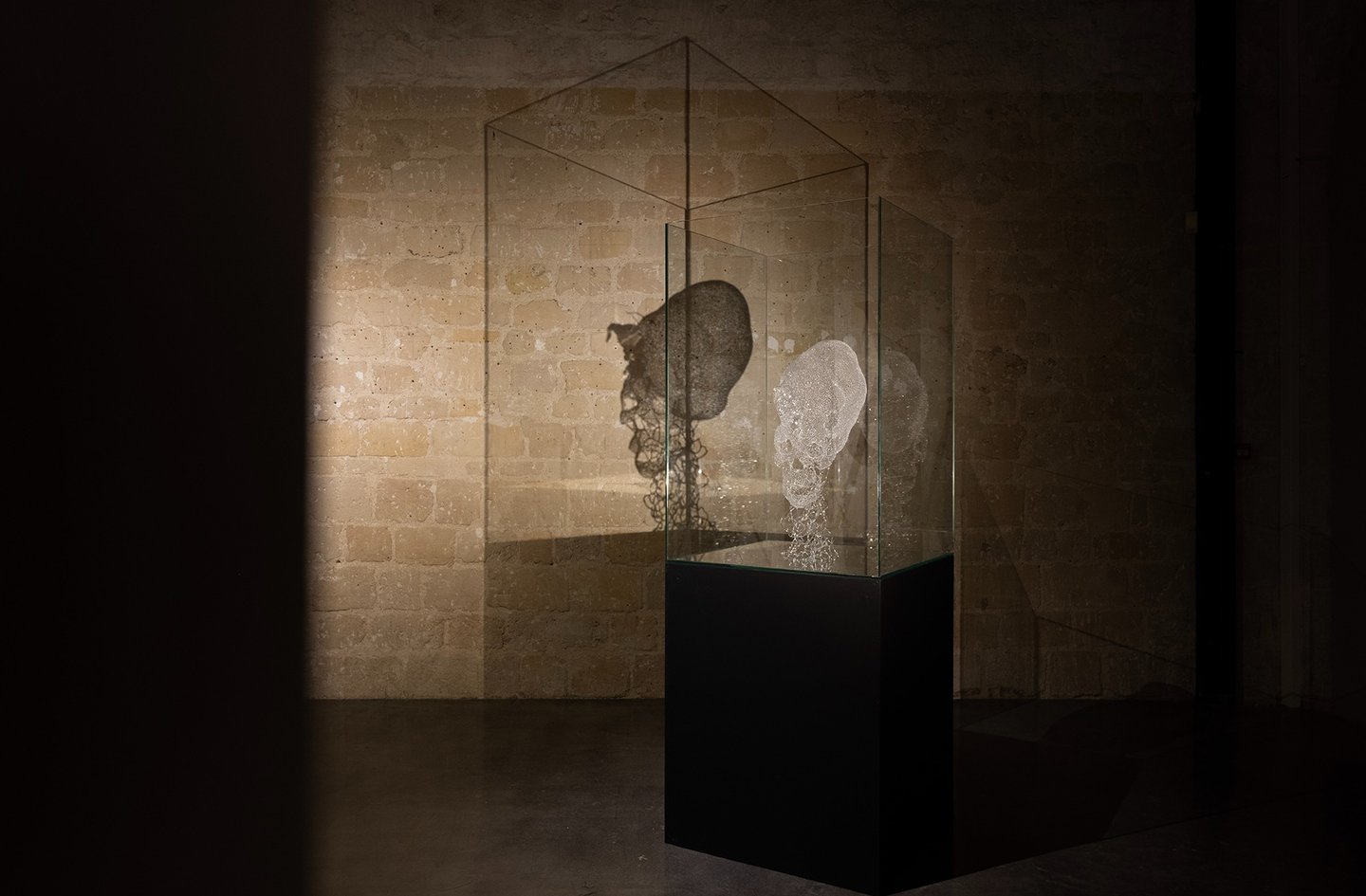 a glass sculpture of a skull in a glass case
