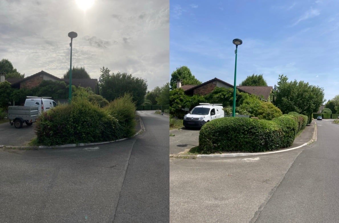 Taille de haies à Soisy-sur-Seine et aux alentours