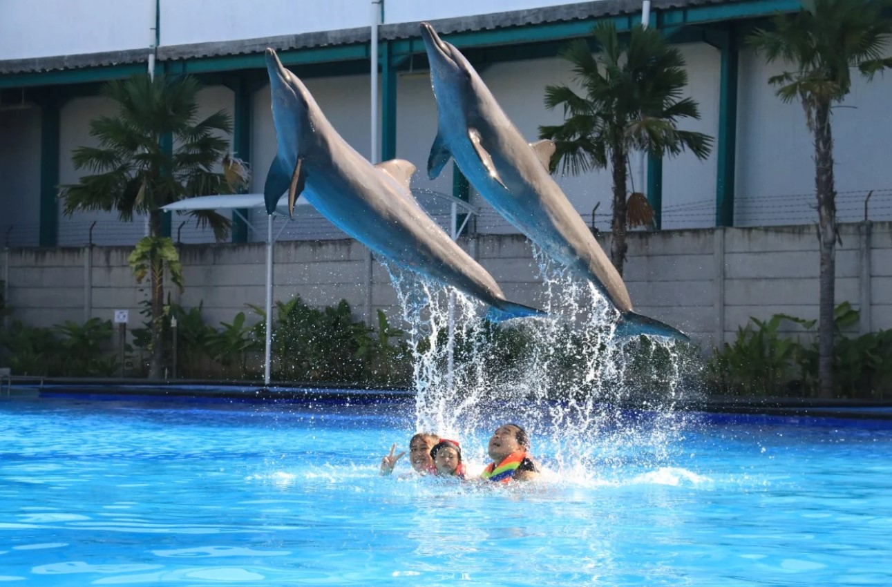 Bali Exotic Marine Park