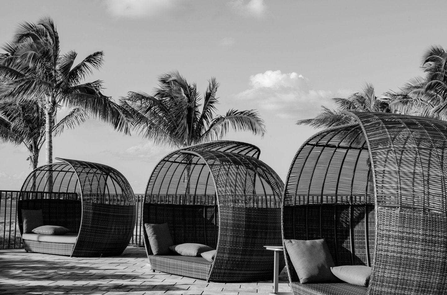 black and white shot of palm trees and wicker cabanas at wildblue resort in southwest florida