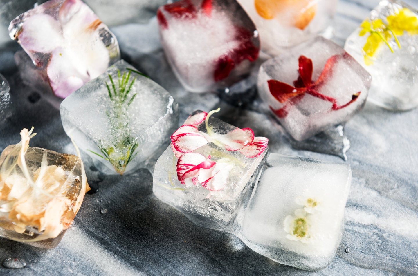 Cubes de glace fleuris, utilisés pour des rituels poétiques de dispersion symbolique des cendres.