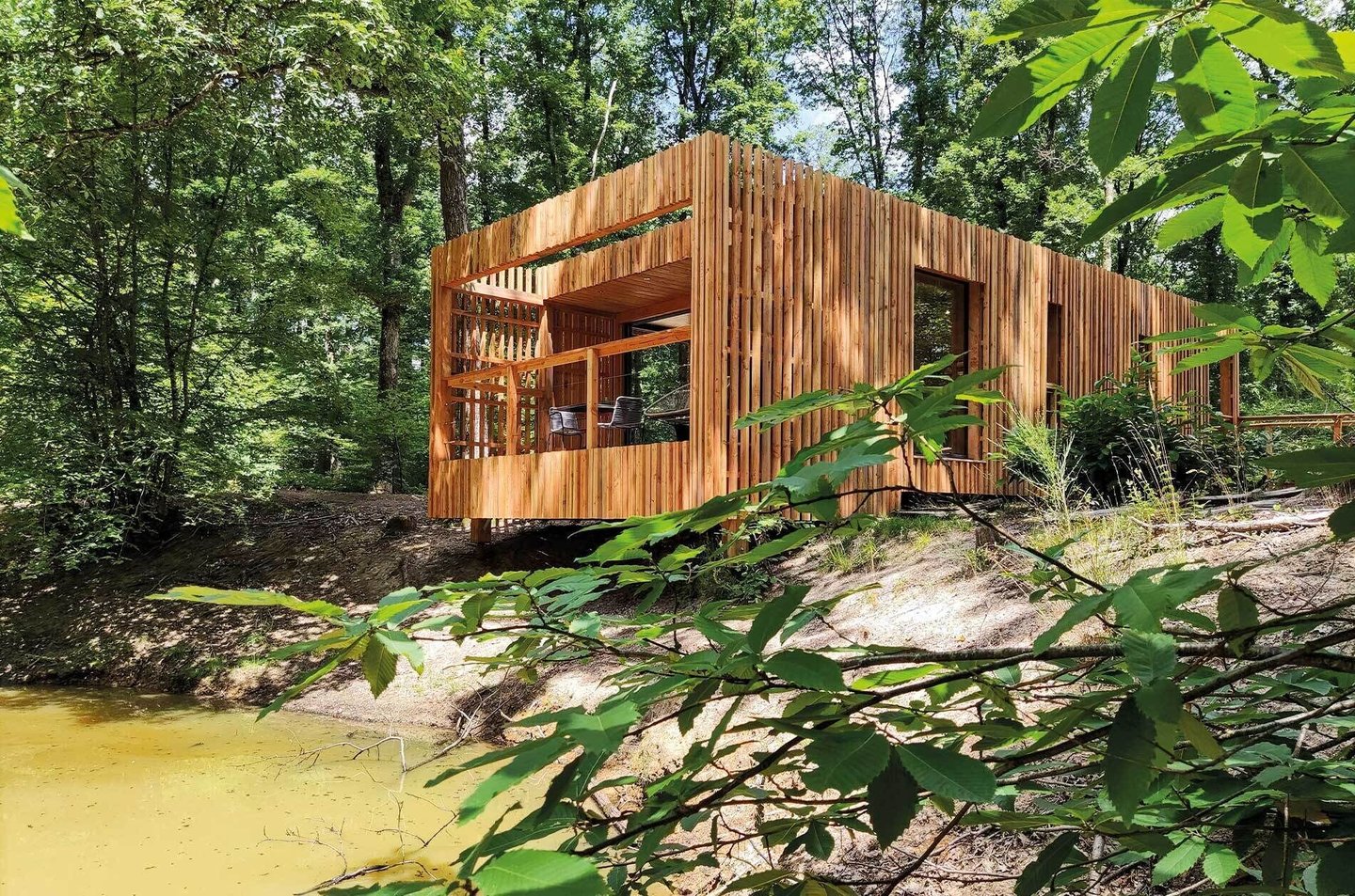 Modern eco-friendly wooden cabin with a slatted facade nestled in a lush green forest by a pond.