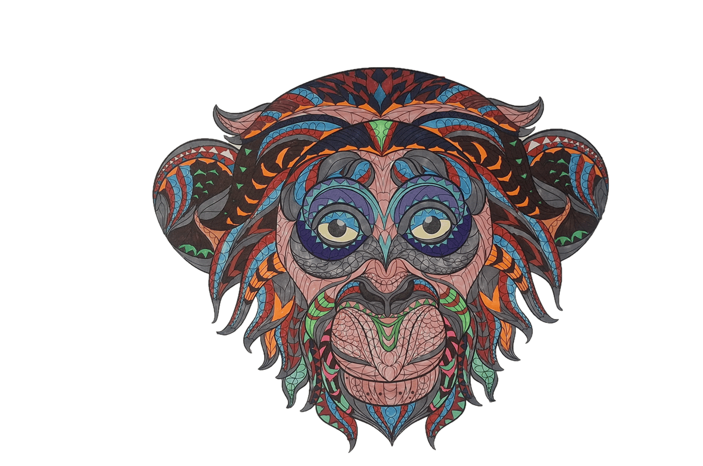 a colorful colored drawing of a monkey head