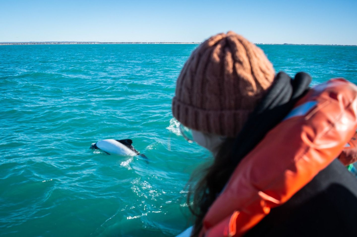 Avistaje de Toninas - Playa Unión