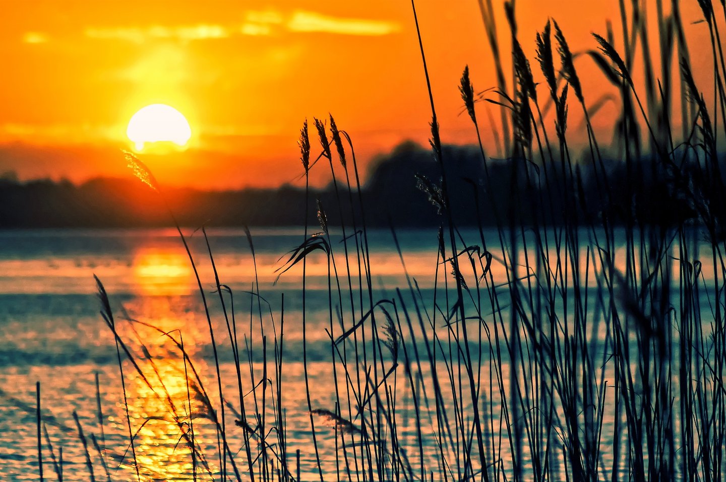 a sunset over Lake Texoma with tall grass