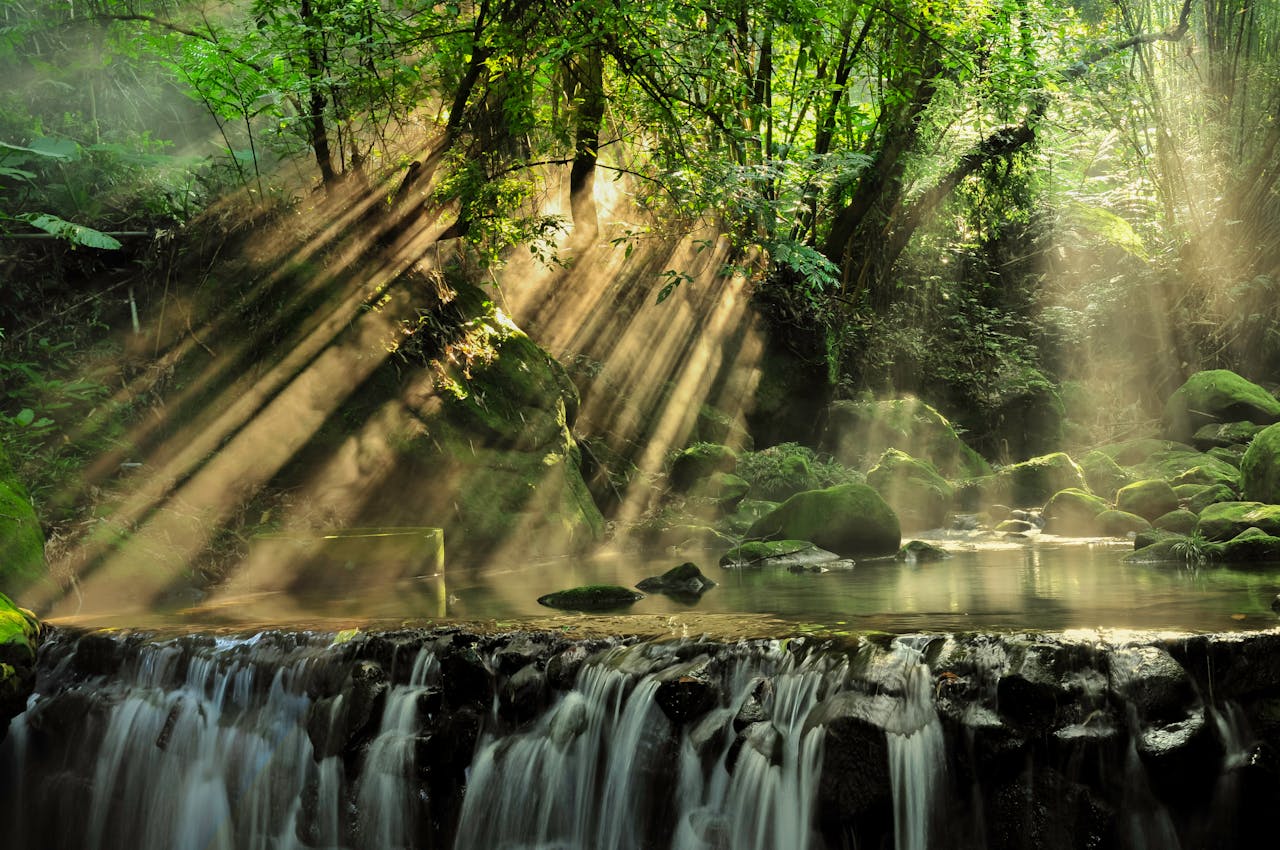 The World’s Most Biodiverse Regions: Exploring Earth’s Living Treasures and Why They Matter