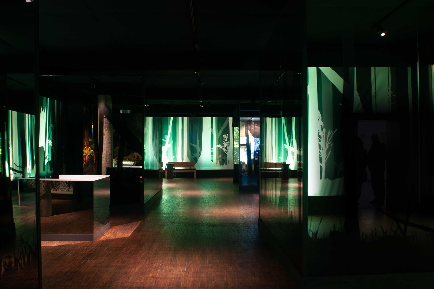 Ausstellung Nationalpark Tor Erbeskopf