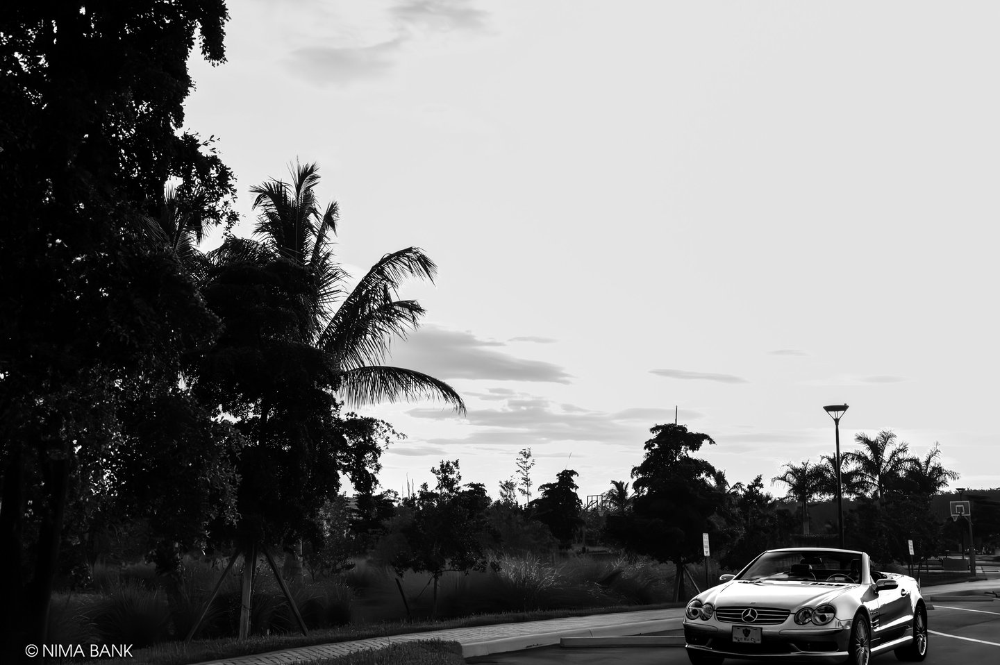 shadowy black and white trees and a glossy mercedes sl55 amg