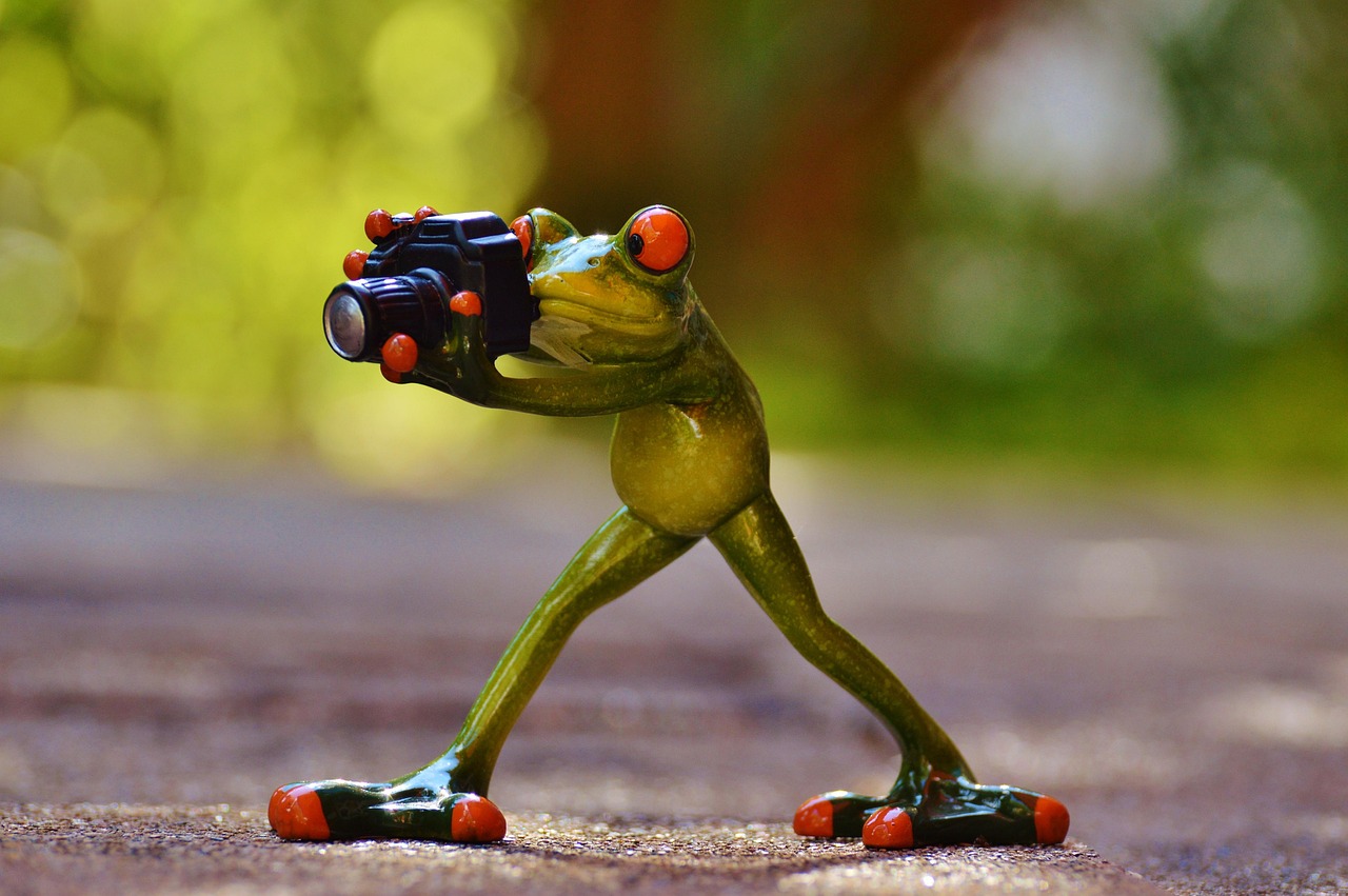 How to Build a Daily Photography Habit That Sparks Creativity: A Complete Guide for Every Photograph
