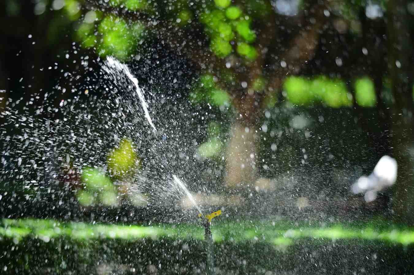 Sprinkler irrigation head positioned close to a foundation wall, a common water intrusion source in newer Powers Corridor