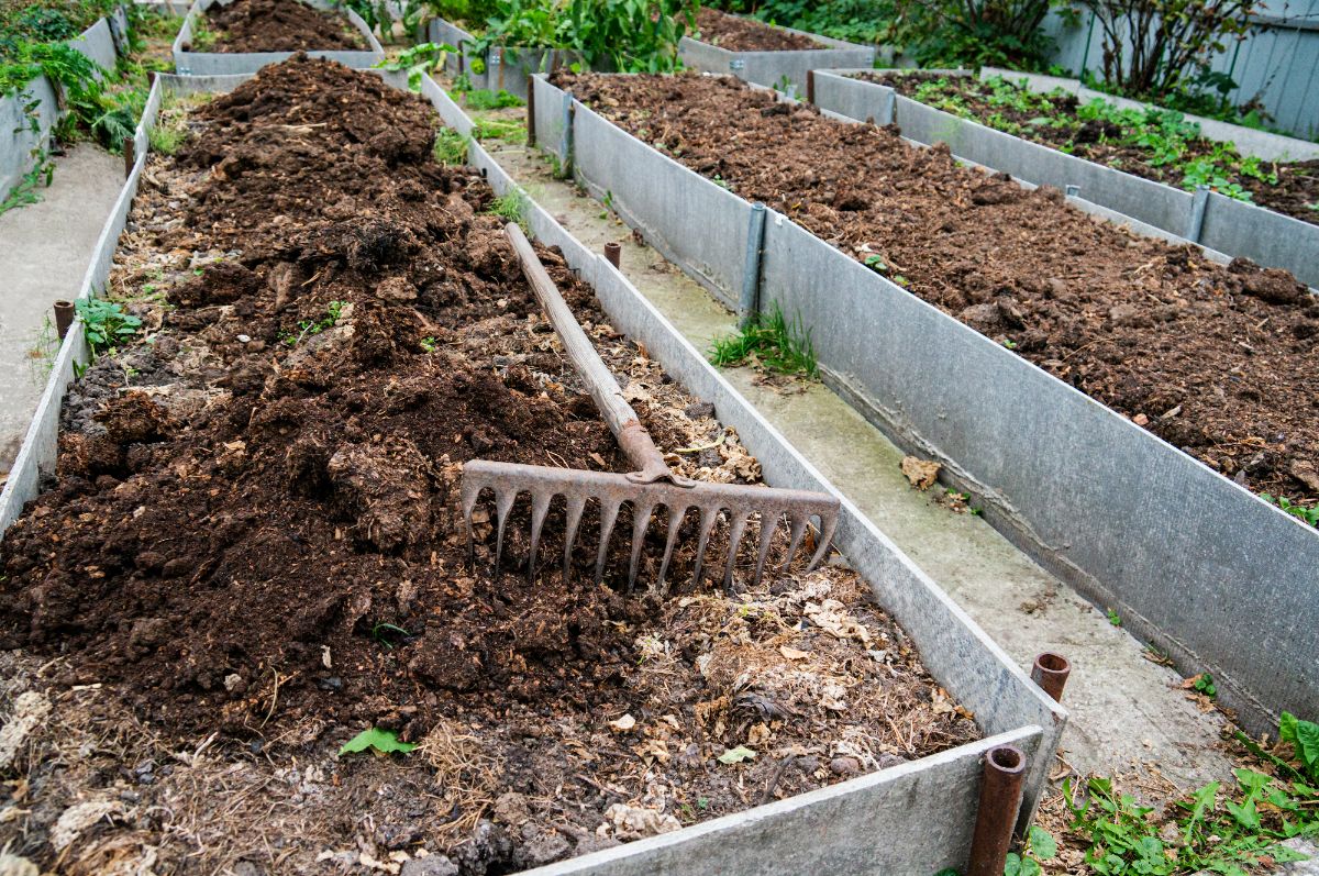 a garden bed filled with a good soil mix