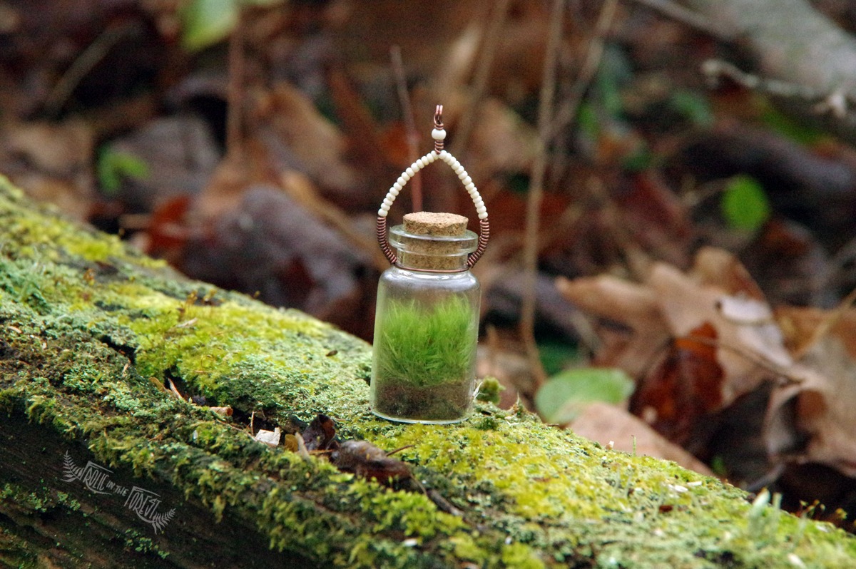 Tiny wire wrapped terrariums with live moss.