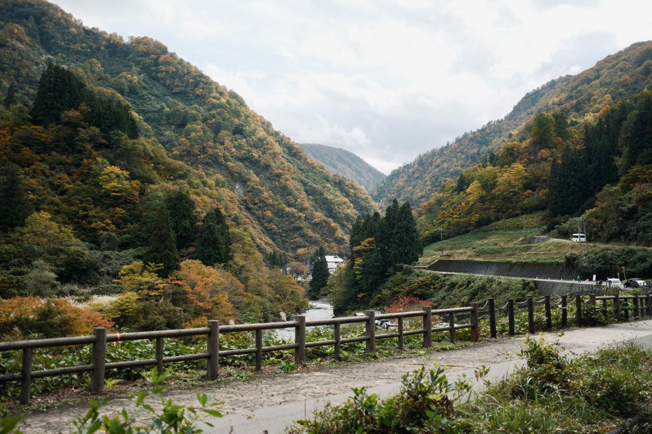 Reflections from the Japan Autumn Retreat 2025