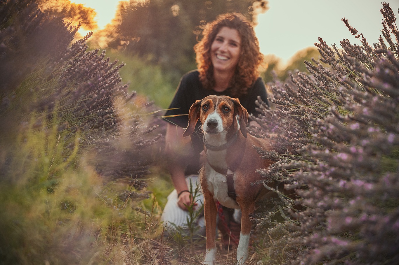 ritratto di cane e ragazza sorridente tra la lavanda