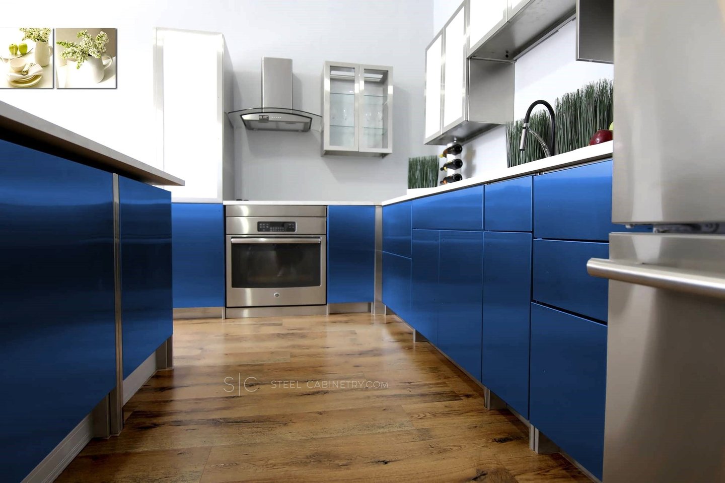 Contemporary Stainless steel kitchen cabinets