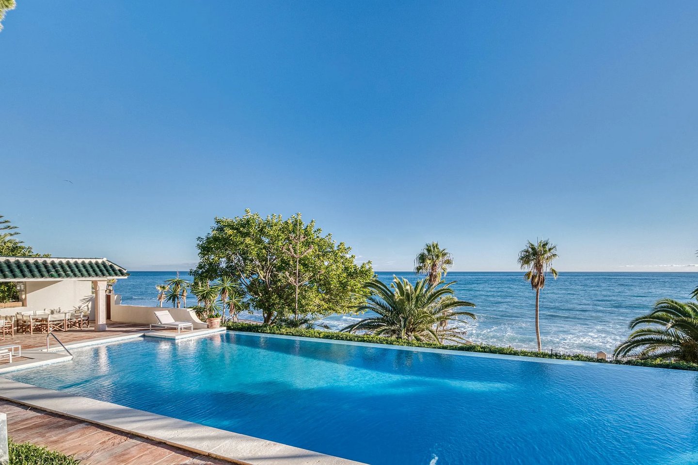 Expansive beachfront infinity pool framed by palms and blue horizon