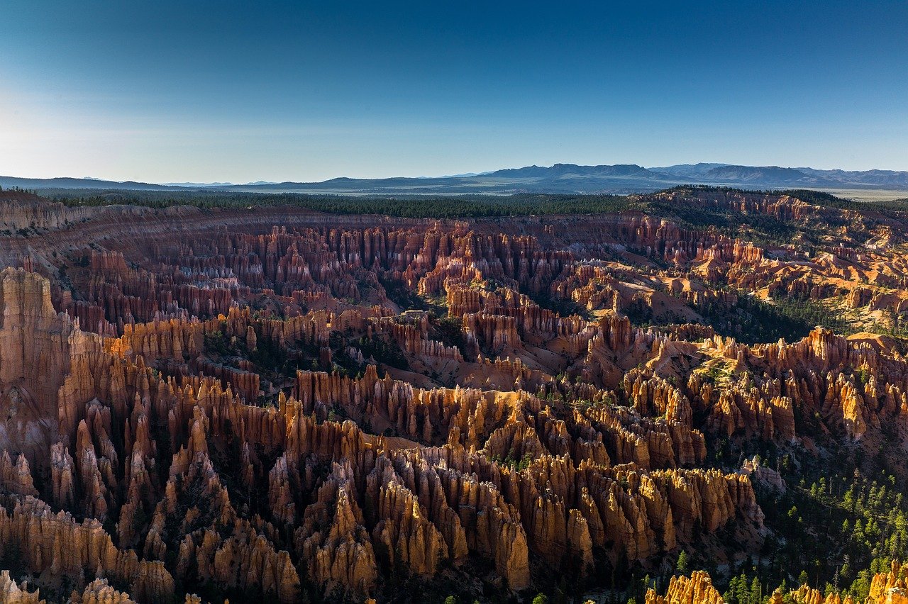 Rewilding the Earth: How Rewilding Projects Are Restoring Nature’s Balance and Healing the Planet